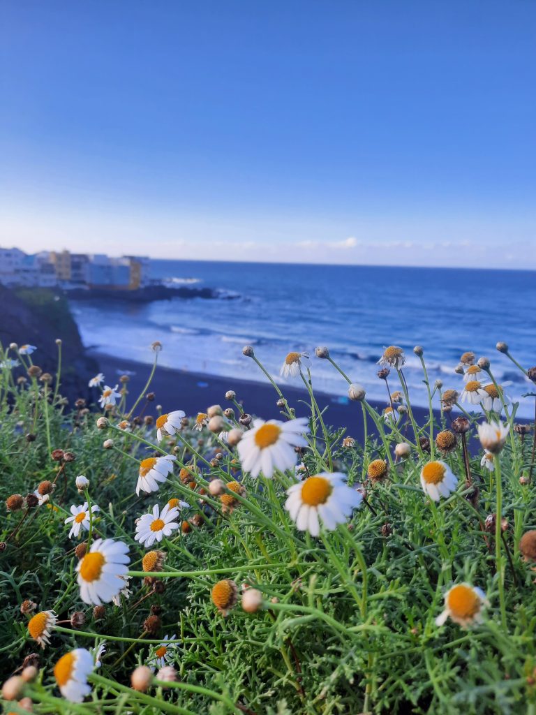 bienfaits de la therapie intuitive 768x1024 - Th&eacute;rapie Intuitive